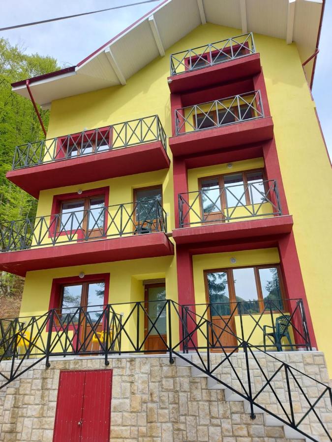 Готель Vila Ioana Сленік-Молдова Екстер'єр фото